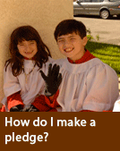How do I make a pledge
