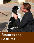 Postures and Gestures
