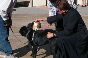 Animal Blessing with Father Norm